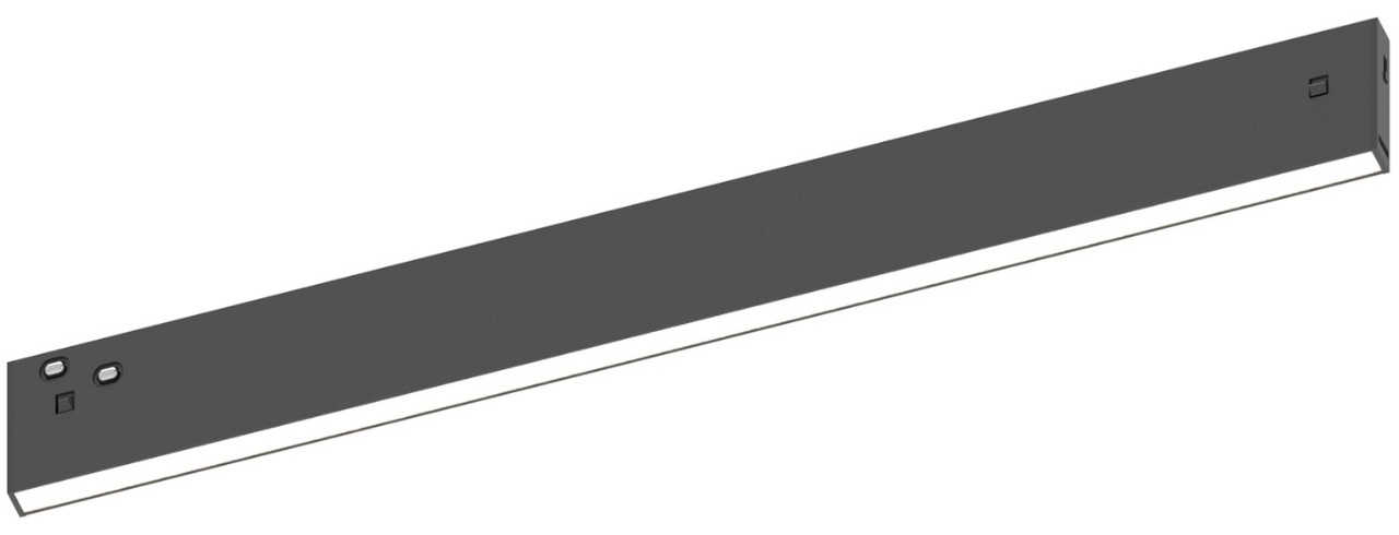 Long magnetic linear module