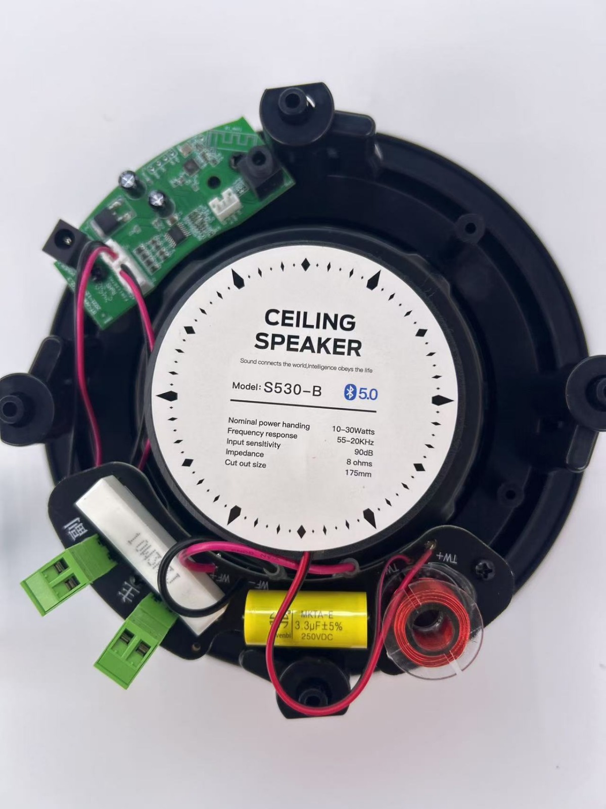 Bluetooth ceiling speaker