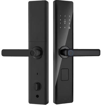 Biometric smart door lock